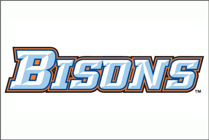 Buffalo Bisons 2009-2012 Jersey Logo iron on heat transfer
